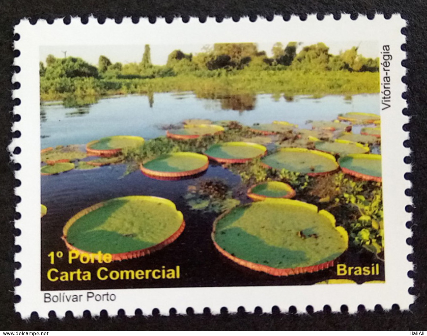 C 3008 Brazil Depersonalized Stamp Tourism Pantanal 2010 Flora Victoria Regia Leaf - Personnalisés