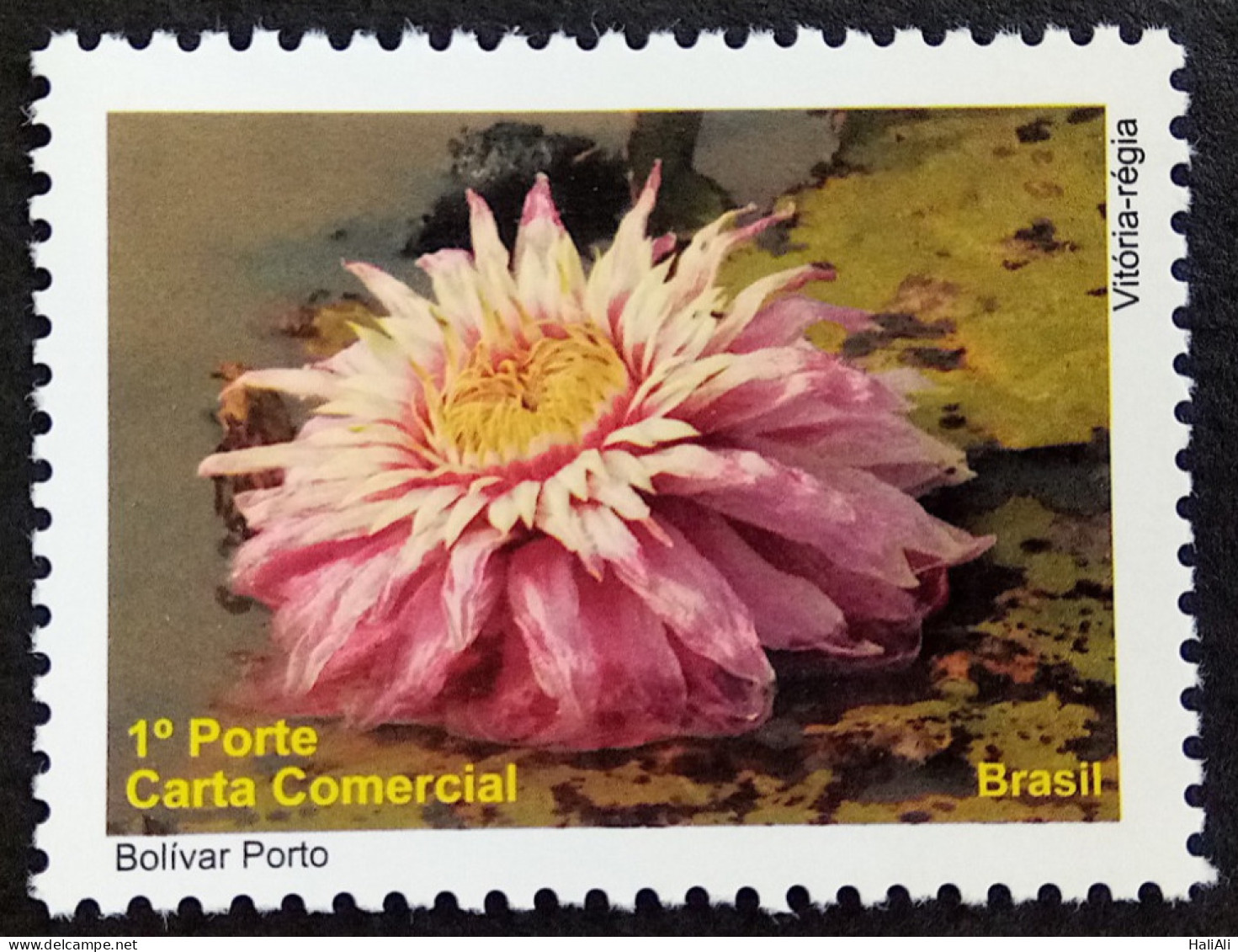 C 3010 Brazil Depersonalized Stamp Tourism Pantanal 2010 Flora Victoria Regia - Personnalisés