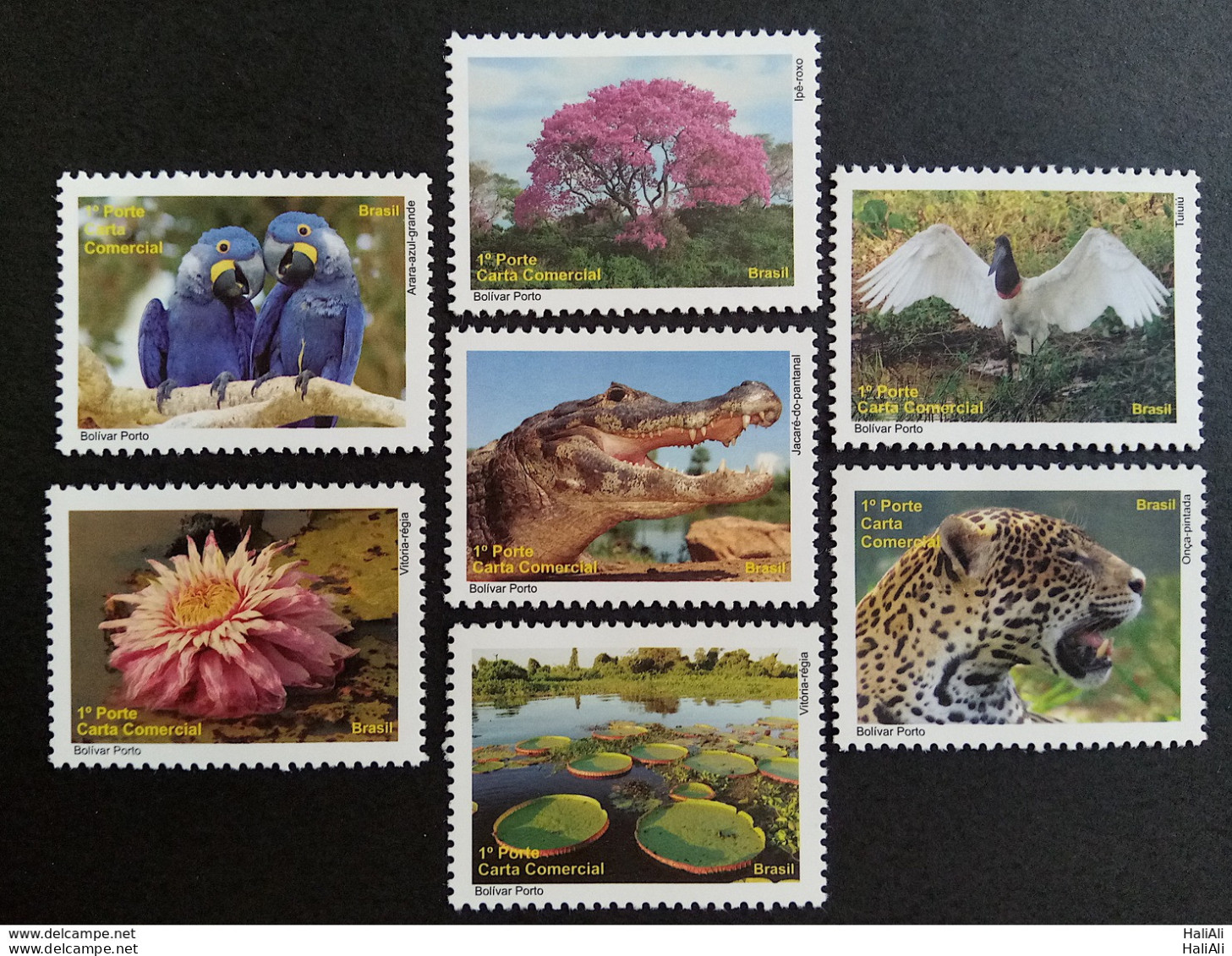 C 3004 Brazil Depersonalized Stamp Tourism Pantanal Jaguar Bird Alligator 2010 Complete Series - Personalized Stamps