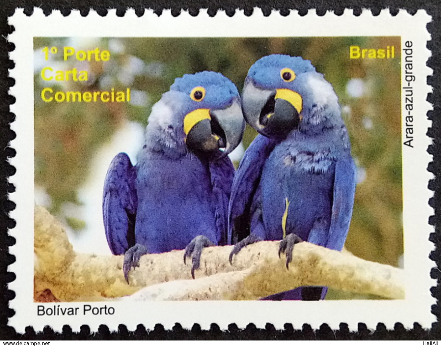 C 3004 Brazil Depersonalized Stamp Tourism Pantanal 2010 Fauna Bird Macaw - Personalized Stamps