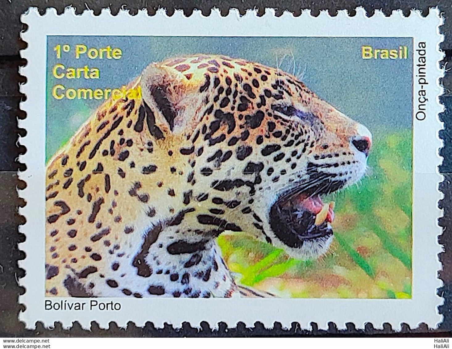 C 3005 Brazil Depersonalized Stamp Tourism Pantanal 2010 Jaguar - Personnalisés