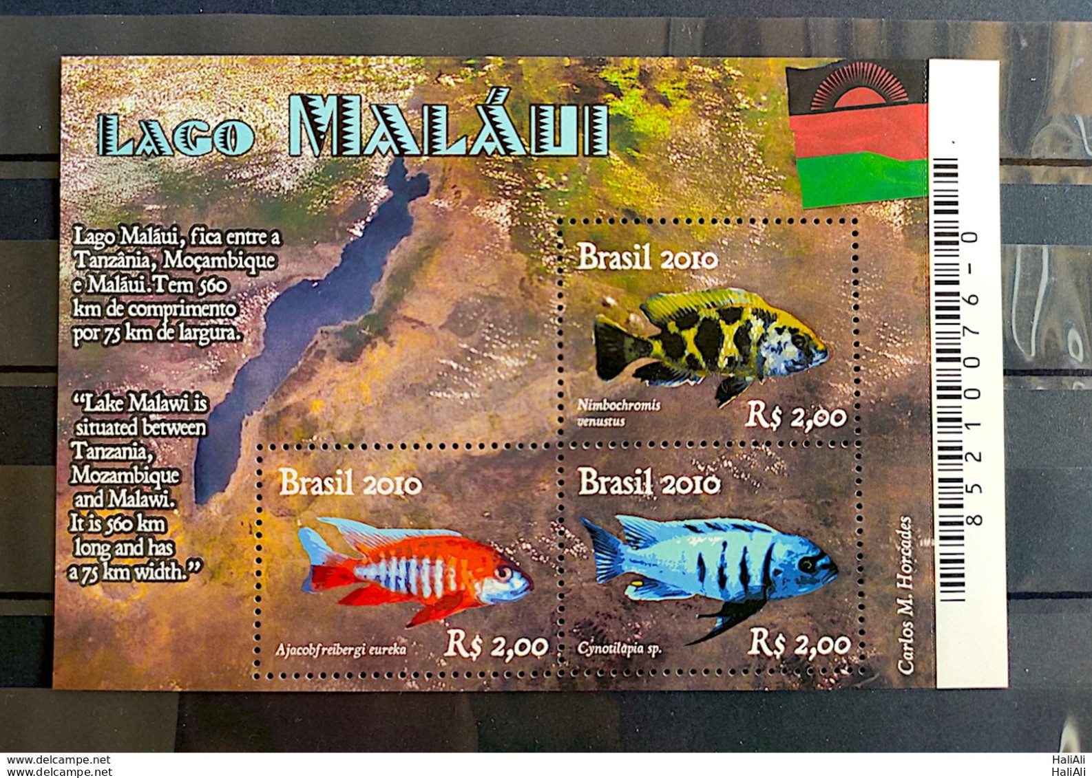 B 158 Brazil Stamp Diplomatic Relations Malawi Fish Flag 2010 - Ongebruikt