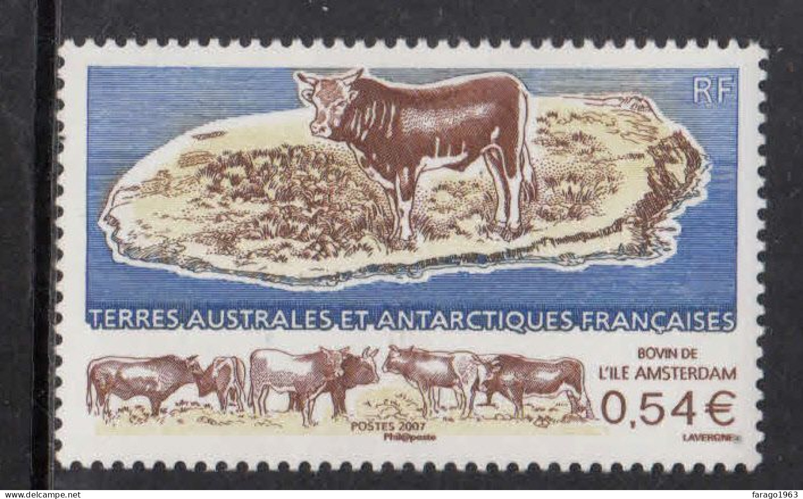 2007 French Southern And Antarctic Territory TAAF Cattle L'ile D'Amsterdam Complete Set Of 1  MNH - Ungebraucht