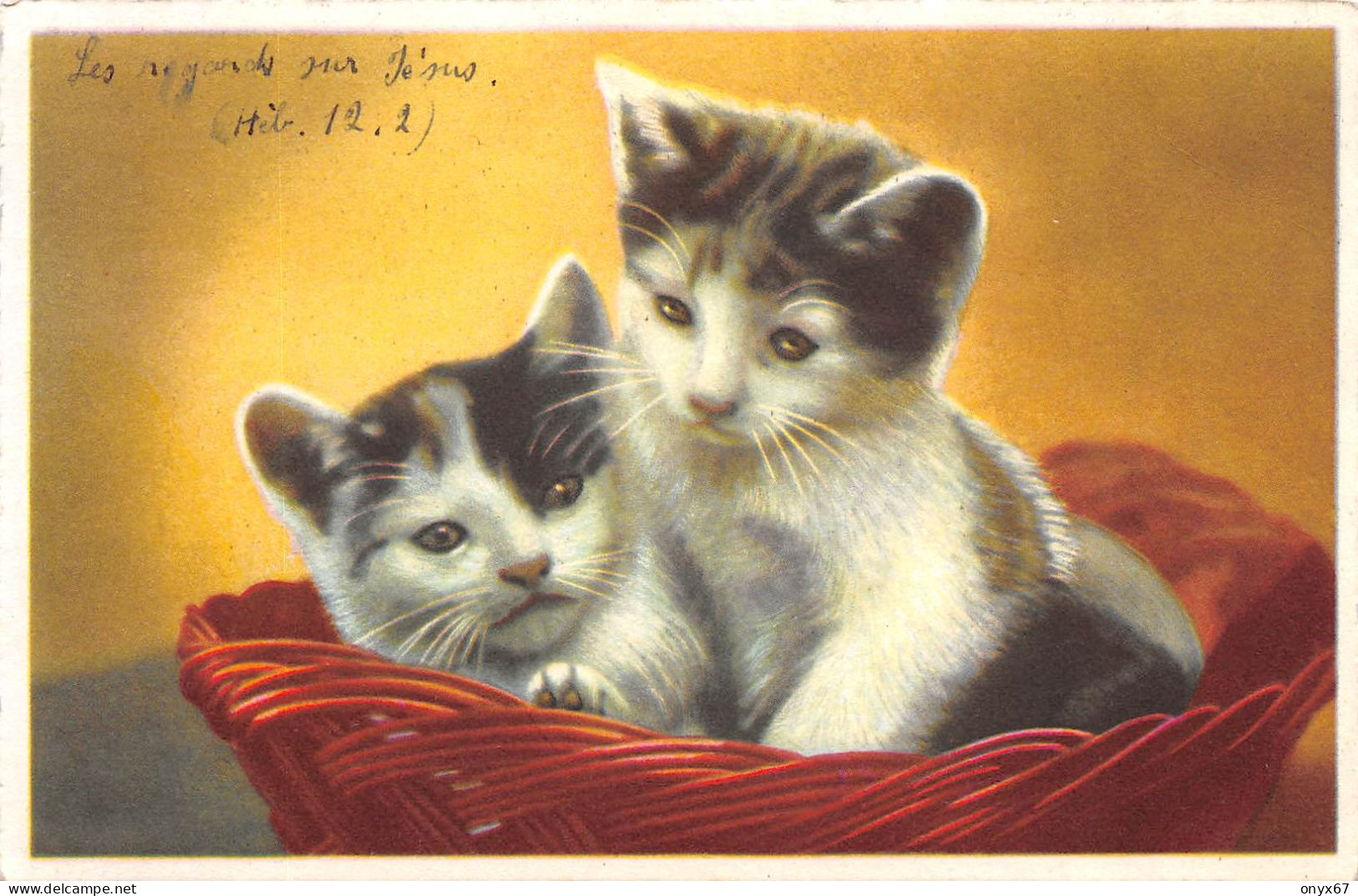 Carte Postale Fantaisie CHAT ( Animaux )  Editeur M.D. Paris Série 2500 - Chats