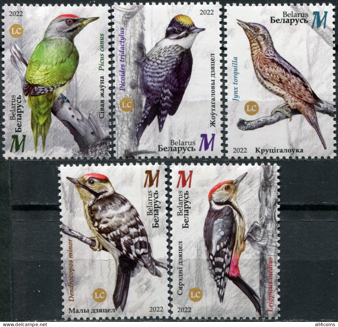 Belarus 2022. Birds Of Belarus - Piciformes (MNH OG) Set Of 5 Stamps - Belarus