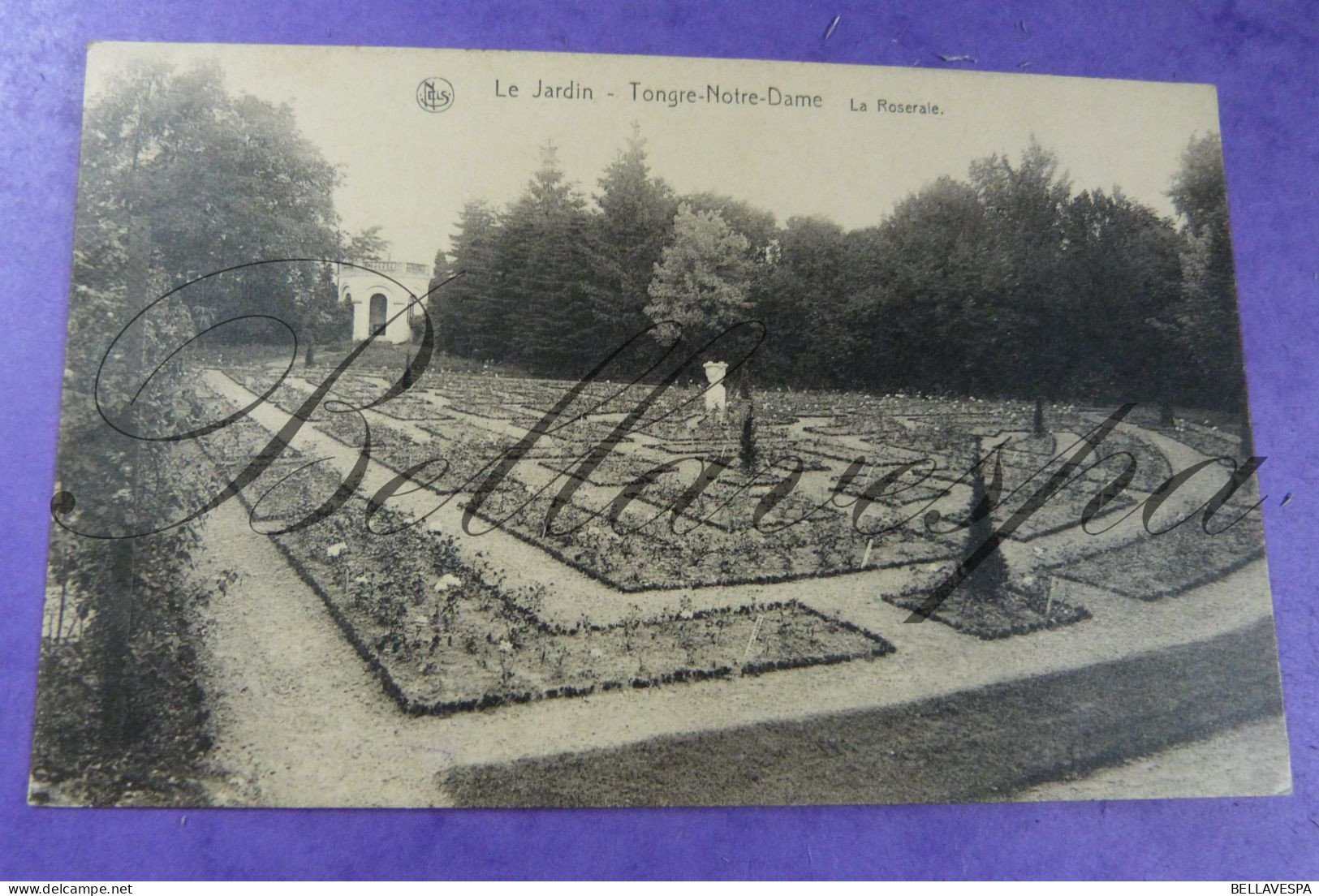 Chièvres Tongre-Notre-Dame La Roserale Jardin - Chièvres