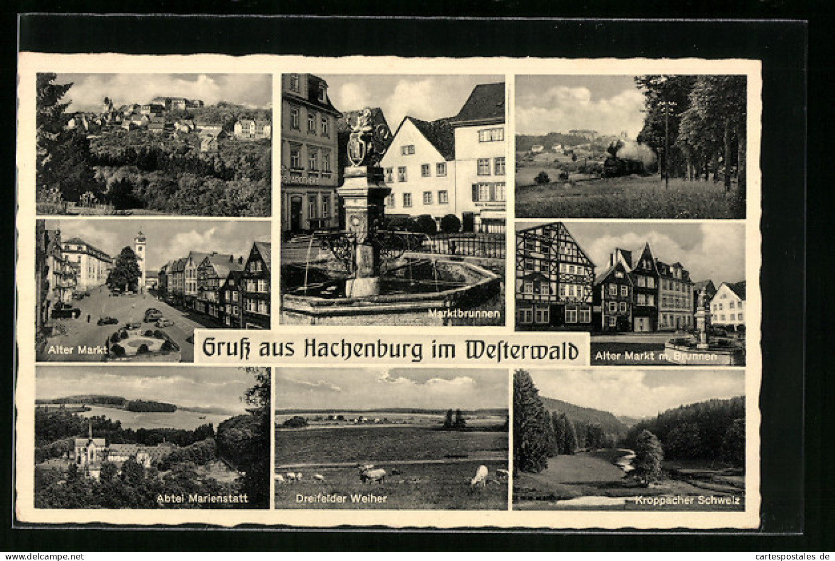 AK Hachenburg I. Westerwald, Alter Markt M. Brunnen, Kroppacher Schweiz, Abtei Marienstatt  - Hachenburg
