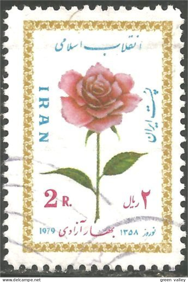 514 Iran Rose (IRN-81) - Rosen