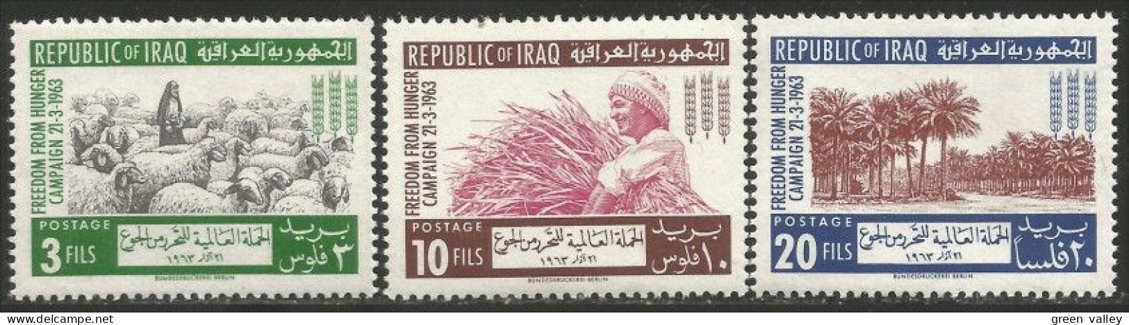 512 Irak 1963 Freedom Hunger Mouton Sheep Sheaf Gerbe Céréales Huile Palme Palm Tree MNH ** Neuf SC (IRK-10a) - Iraq