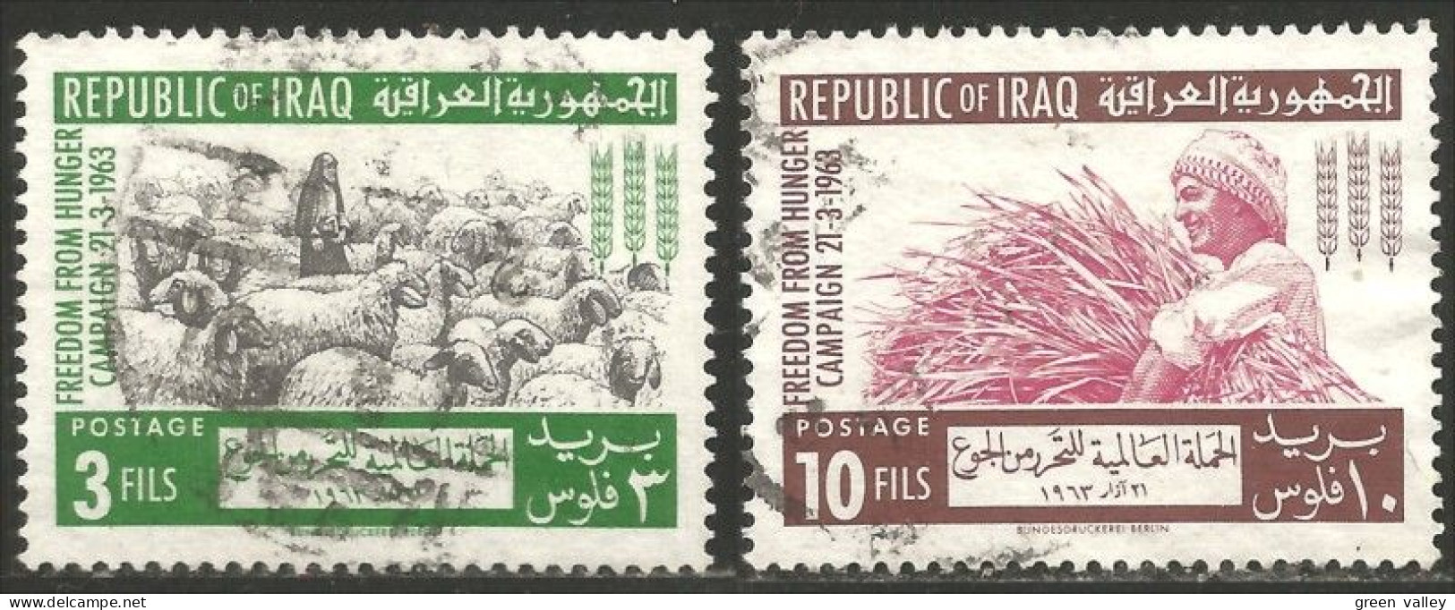 512 Irak 1963 Mouton Sheep Blé Sheaf Gerbe (IRK-6) - Iraq