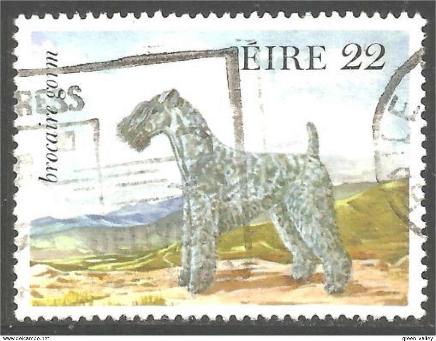 510 Ireland Dog Chien Hund Perro Brocair Gorm (IRL-155) - Honden