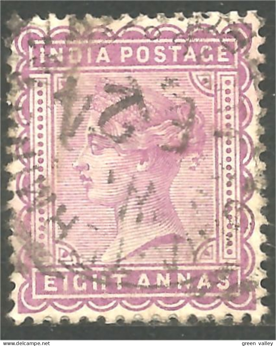 504 Inde 1882 Victoria 8p Violet Very Fine (IND-63) - 1882-1901 Empire