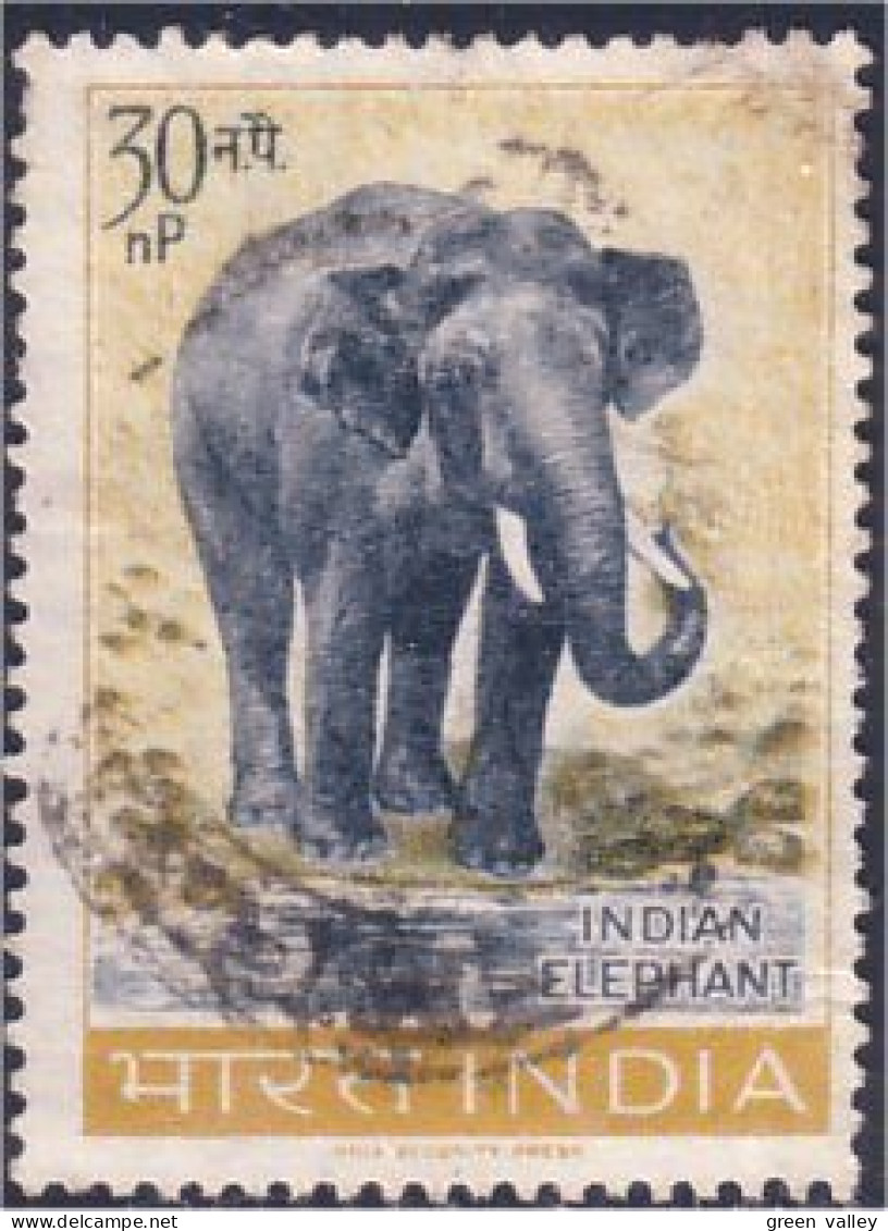 504 Inde Elephant Elephants Elefant Elefante Olifant Norsu (IND-32) - Elefantes