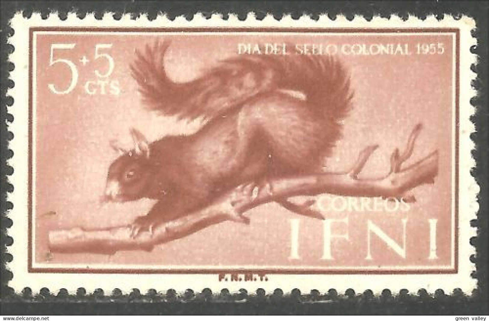 502 Ifni Ecureuil Squirrel Scoiattolo Ardilla Eichhörnchen Eekhoorn MVLH * Neuf CH Très Légère CH (IFN-15b) - Rodents