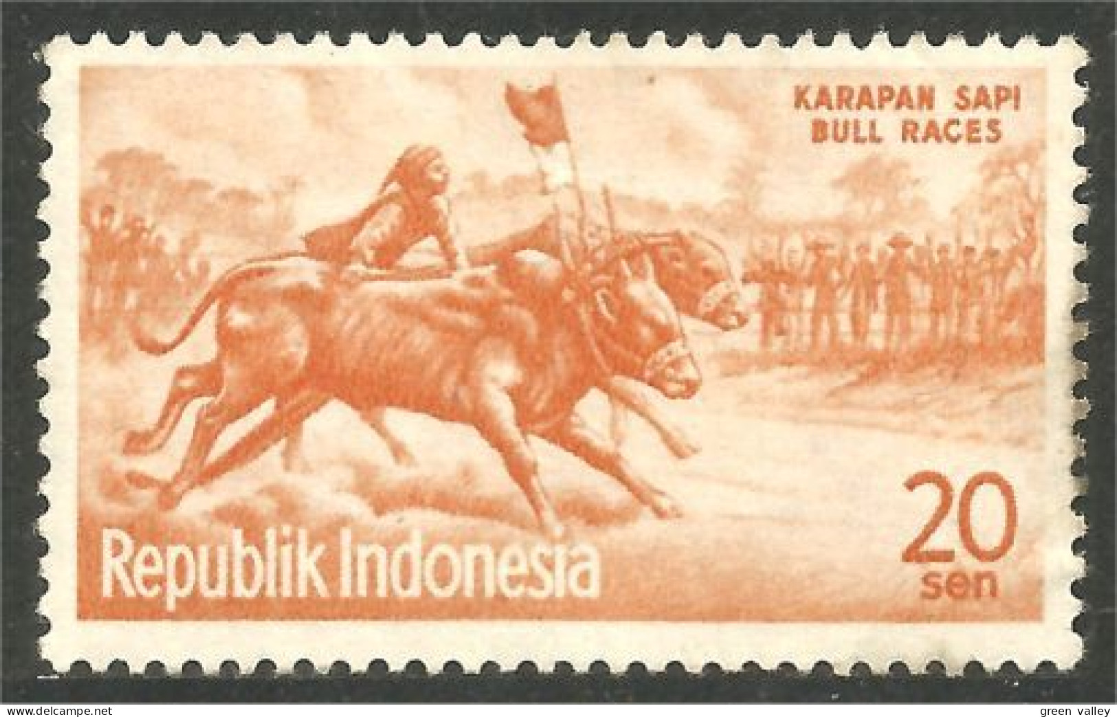 500 Indonesia Bull Race Course Taureau Vache MH * Neuf (IDS-187) - Koeien