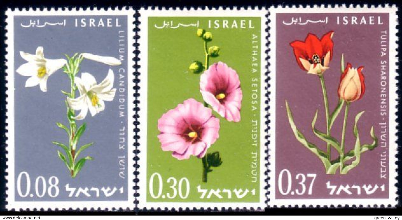 518 Israel Lis Blanc White Lily Hollyhock Tulips Tulipes MNH ** Neuf SC (ISR-11a) - Nuovi (senza Tab)