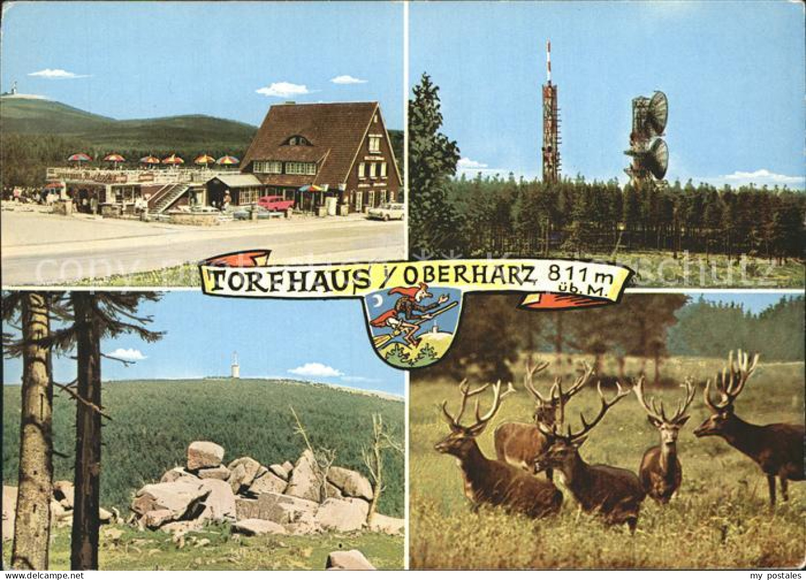 72307035 Torfhaus Harz Sporthotel Brockenblick Hirsch  Torfhaus - Altenau