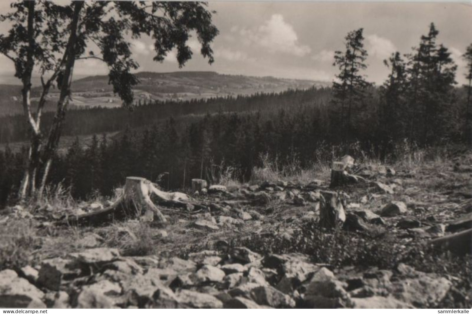 85206 - Altenberg-Kipsdorf - Blick Vom Tellkoppe - 1961 - Kipsdorf