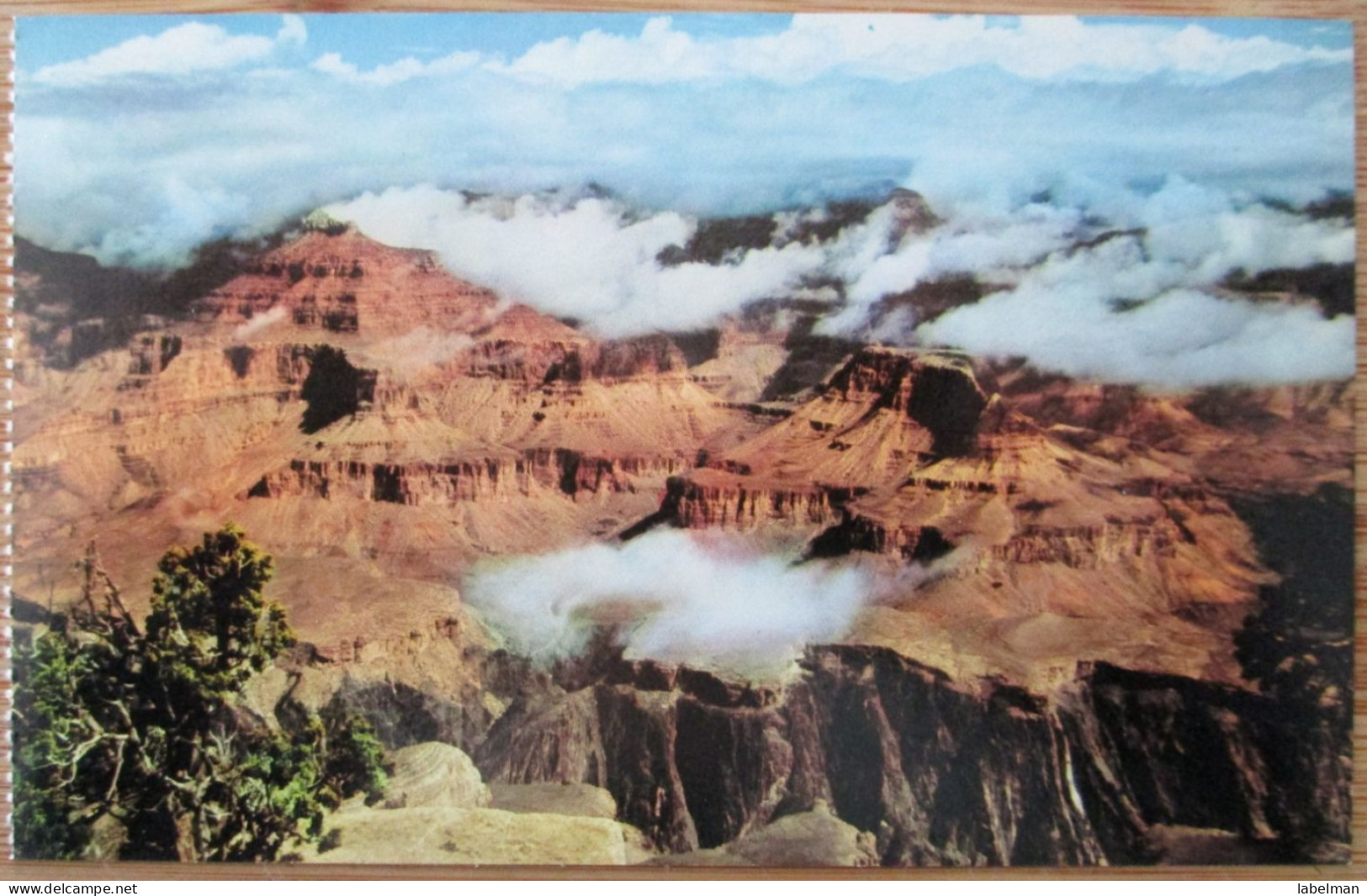 USA UNITED STATES ARIZONA GRAND CANYON COLORADO RIVER CARD POSTCARD CARTE POSTALE ANSICHTSKARTE CARTOLINA POSTKARTE - Las Vegas