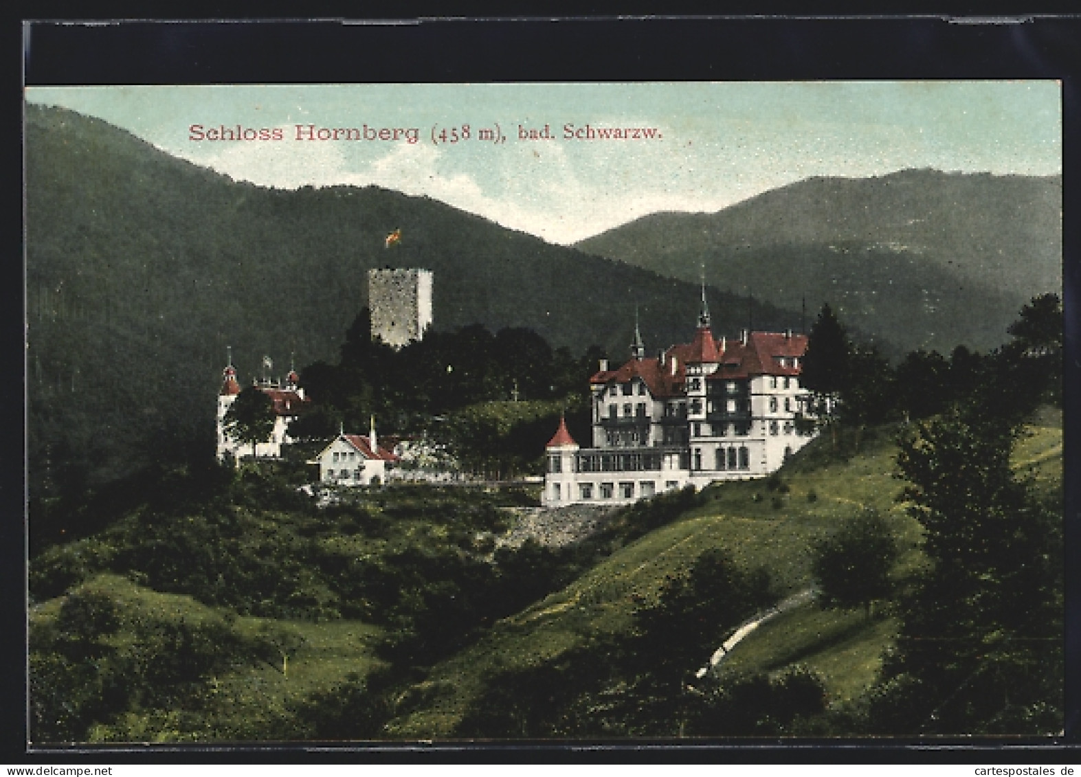 AK Hornberg /Bad. Schwarzwald, Schloss-Hotel  - Hornberg