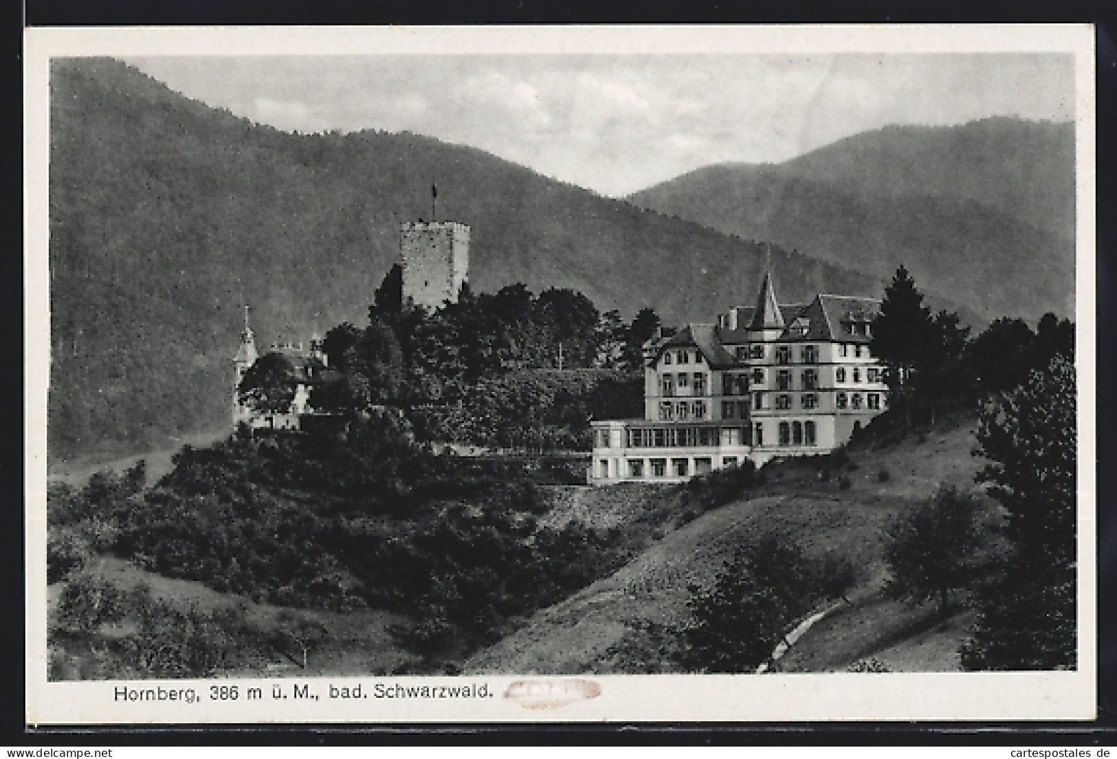 AK Hornberg Im Bad. Schwarzwald, Burg Und Beamtenheim  - Hornberg
