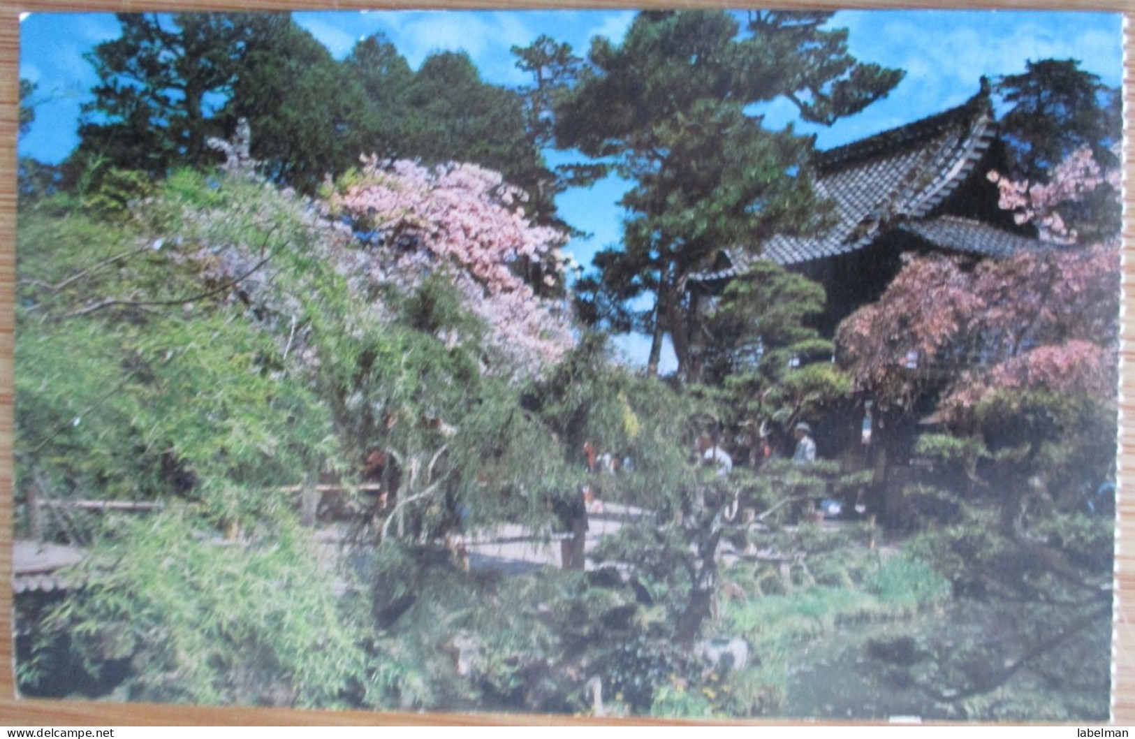 US USA UNITED STATES CALIFORNIA SAN FRANCISCO JAPANESE GARDENS PARK POSTCARD CARTOLINA CARTE POSTALE POSTKARTE CARD - San Francisco