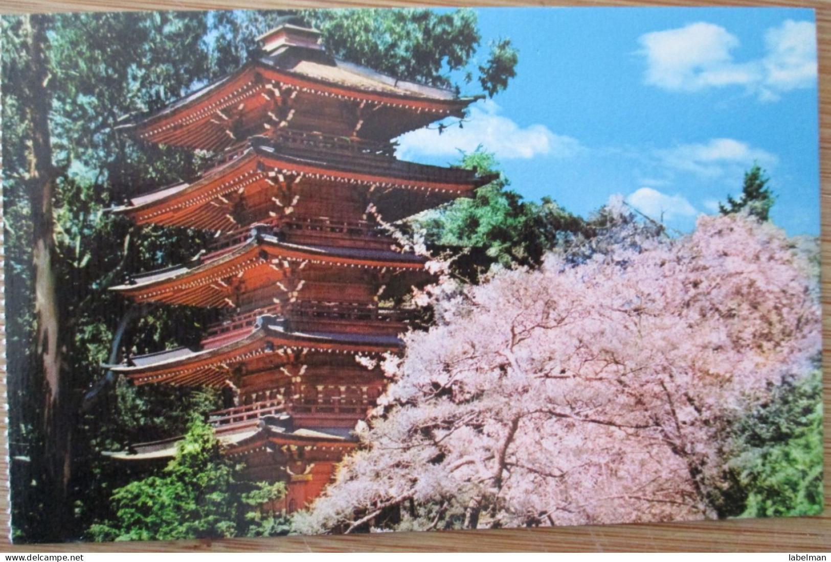 US USA UNITED STATES CALIFORNIA SAN FRANCISCO JAPANESE GARDENS PARK POSTCARD CARTOLINA CARTE POSTALE POSTKARTE CARD - San Francisco