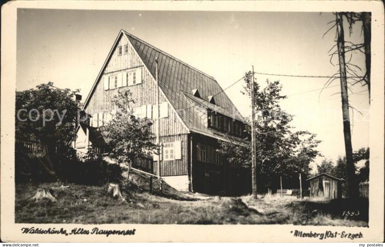 72296507 Altenberg Erzgebirge Waldschaenke Altes Raupennest Geising - Geising