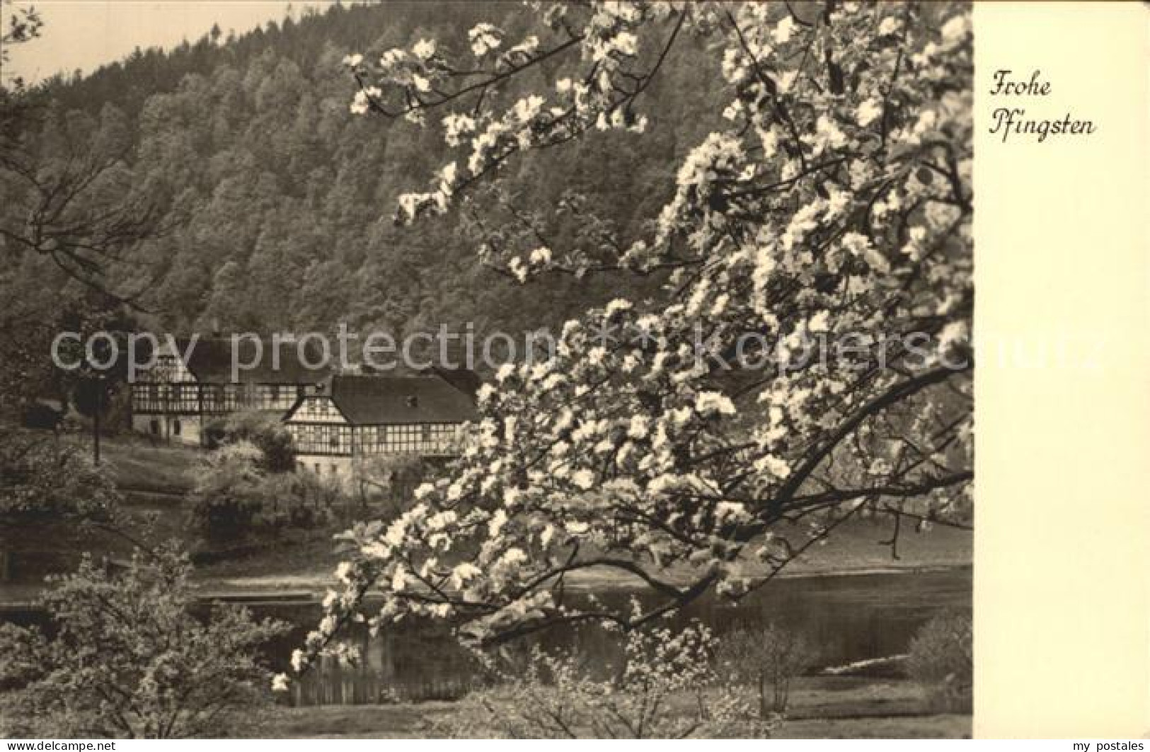 72296286 Waren Mueritz Bauernhof Am Wasser Baumbluete Waren - Waren (Mueritz)