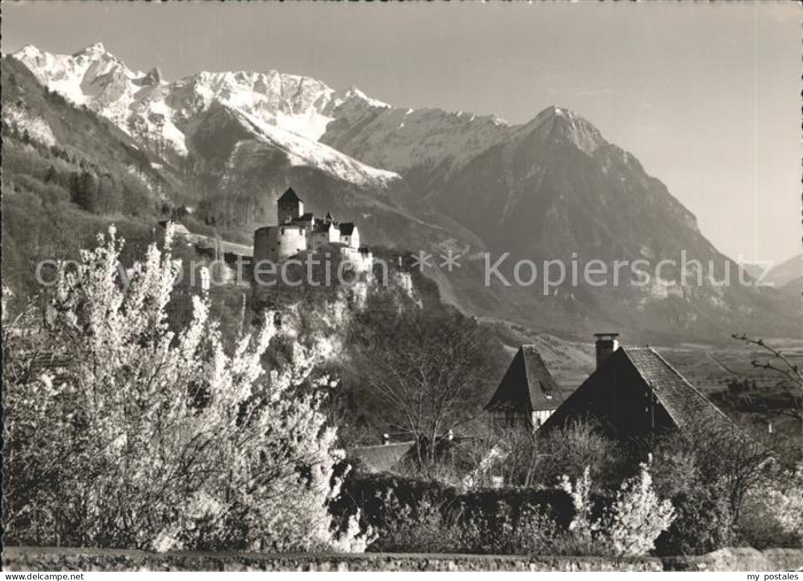 72295073 Vaduz Schloss Mit Rappenstein Und Falknis Raetikon Baumbluete Vaduz - Liechtenstein