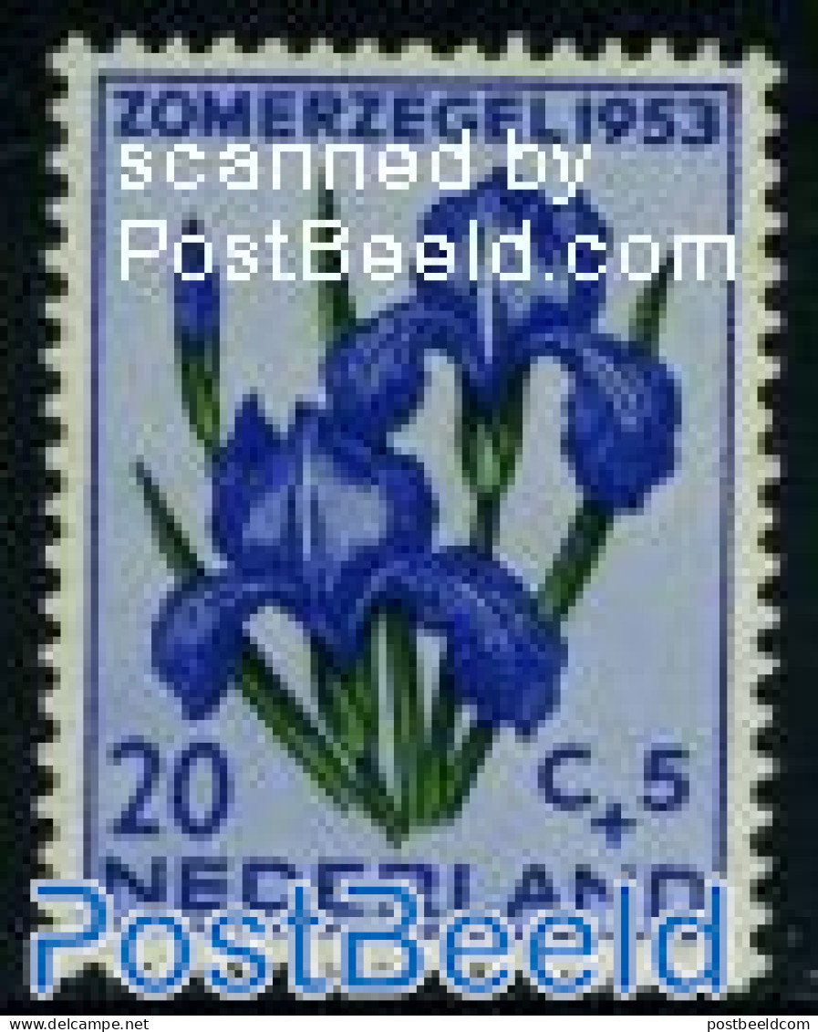 Netherlands 1953 20+5c, Stamp Out Of Set, Unused (hinged), Nature - Flowers & Plants - Ongebruikt