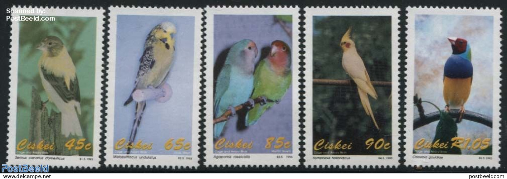 Ciskei 1993 Birds 5v, Mint NH, Nature - Birds - Ciskei