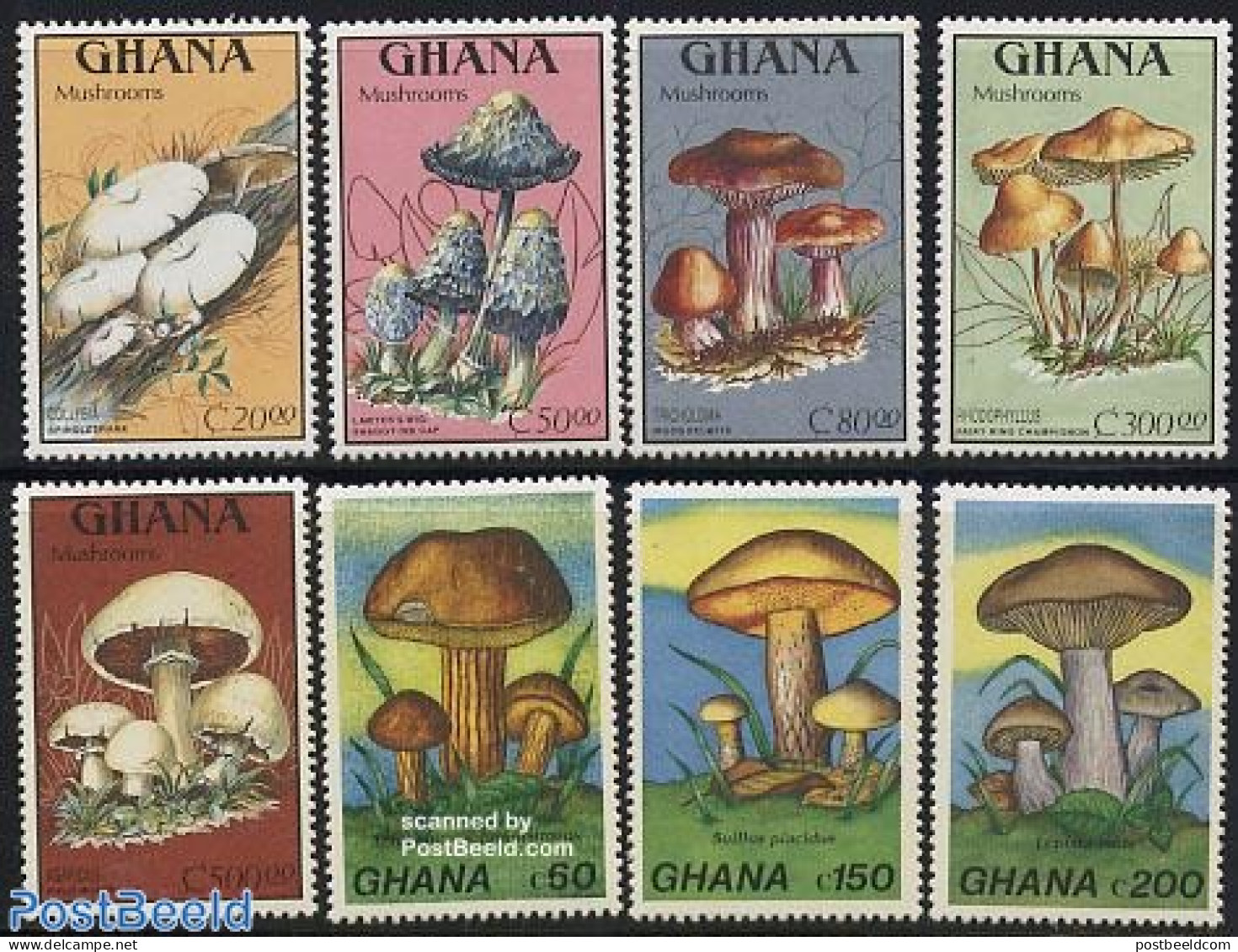Ghana 1989 Mushrooms 8v, Mint NH, Nature - Mushrooms - Paddestoelen