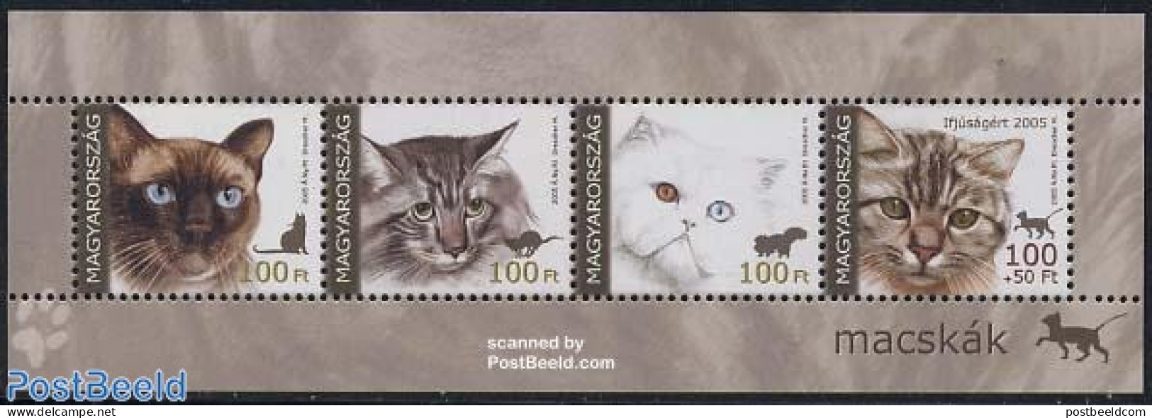 Hungary 2005 Cats 4v M/s, Mint NH, Nature - Cats - Unused Stamps