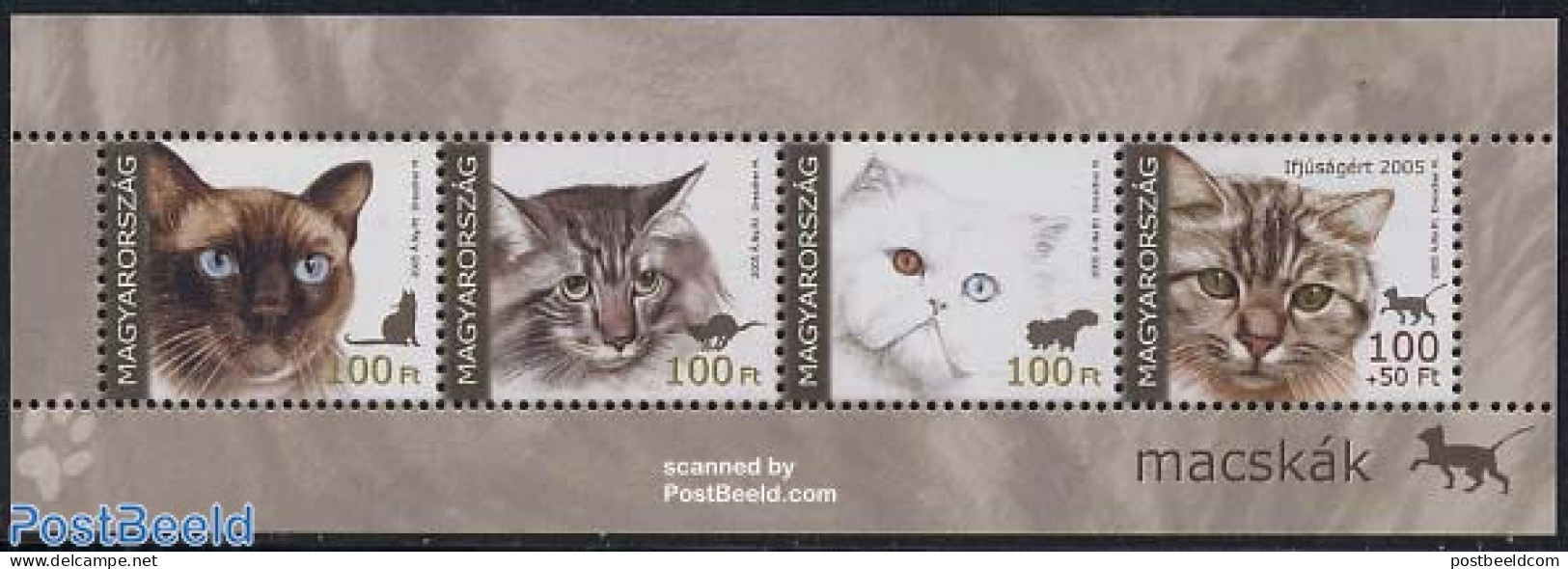 Hungary 2005 Cats 4v M/s, Mint NH, Nature - Cats - Nuevos