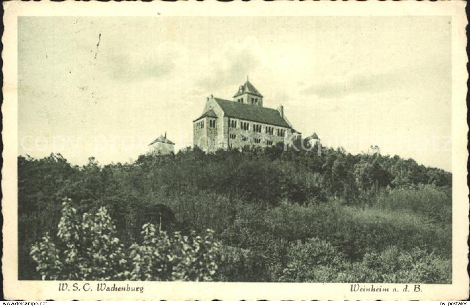 72291781 Weinheim Bergstrasse WSC Wachenburg Weinheim - Weinheim