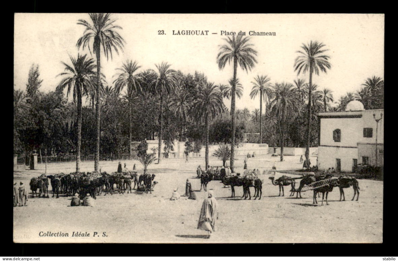 ALGERIE - SAHARA - LAGHOUAT - PLACE DU CHAMEAU - Laghouat