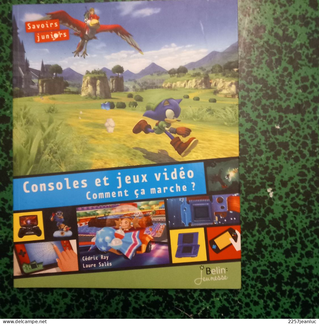 Consoles Et Jeux Vidéo Comment ça Marche ? Savoirs Juniors Editions  2014 - Autres & Non Classés