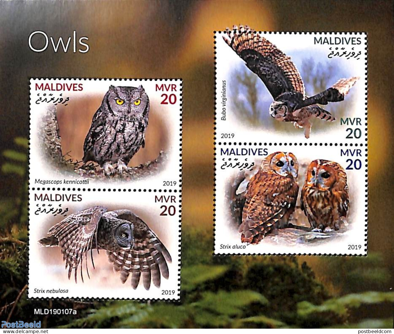 Maldives 2019 Owls 4v M/s, Mint NH, Nature - Birds - Birds Of Prey - Owls - Maldives (1965-...)