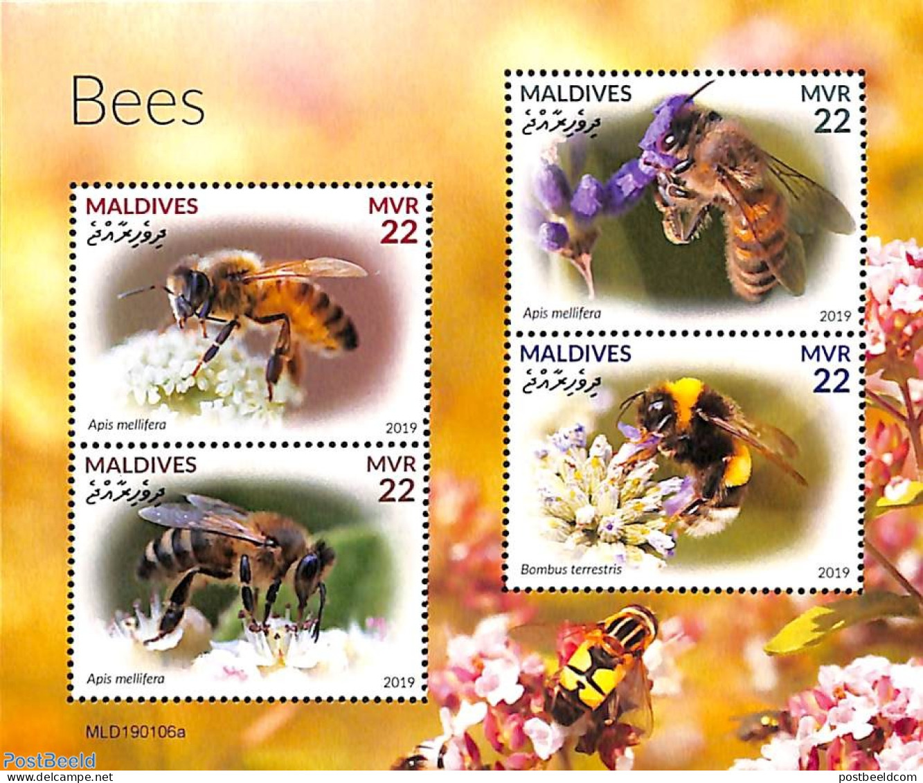 Maldives 2019 Bees 4v M/s, Mint NH, Nature - Bees - Flowers & Plants - Insects - Maldives (1965-...)