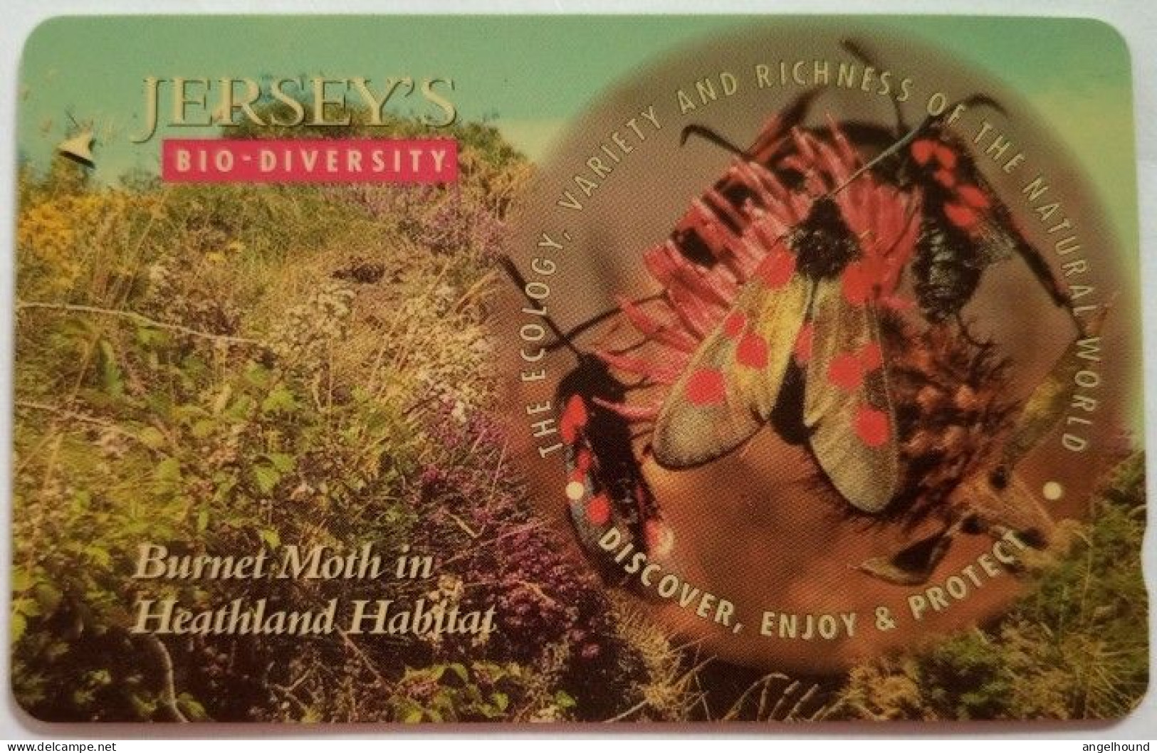 Jersey £2 GPT 57JERD - Burnet Moth In Heathland Habitat - [ 7] Jersey Und Guernsey