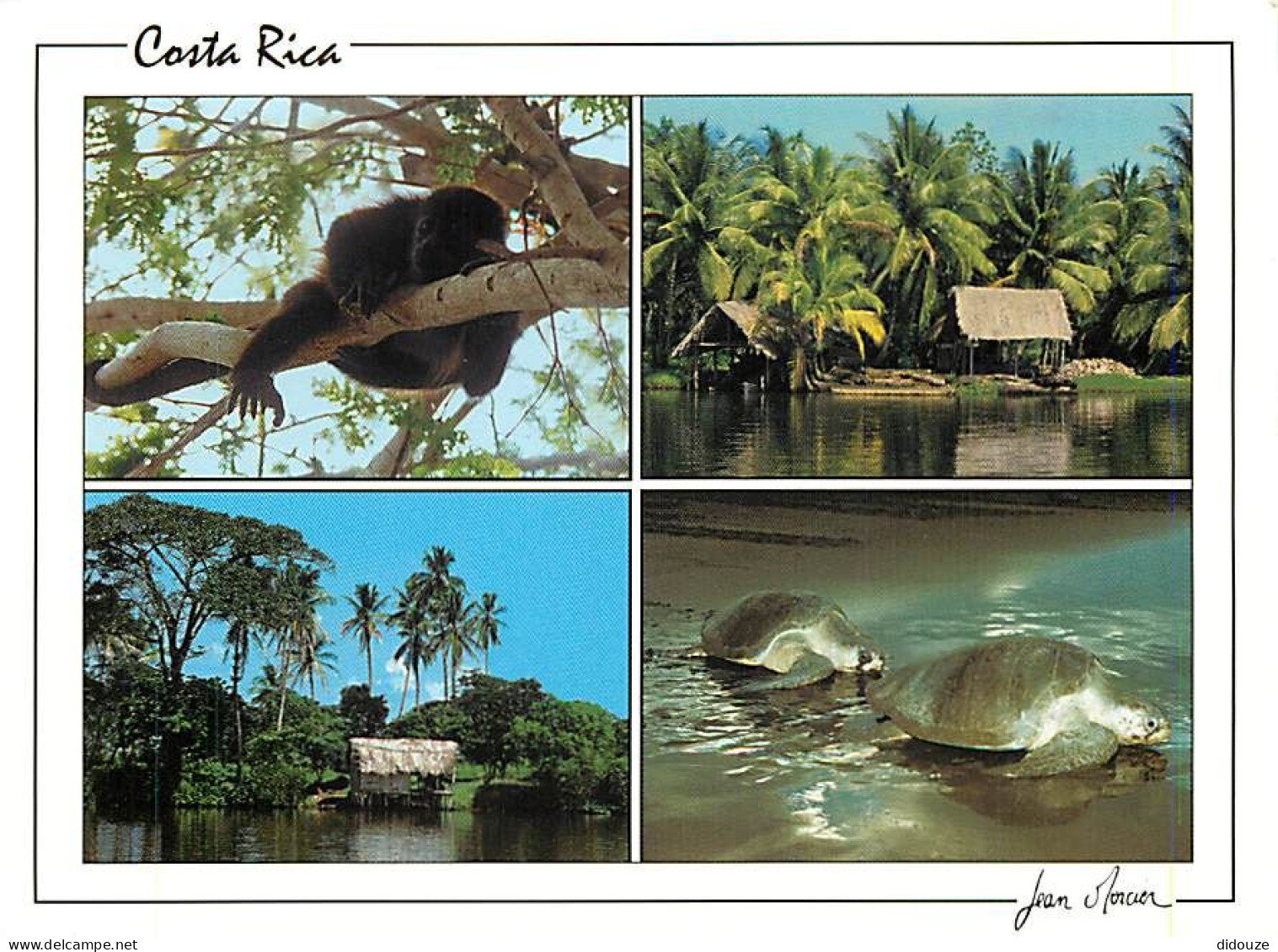Format - 148 X 108 Mms - Costa Rica - Parc National Tortuguero - CPM - Carte Neuve - Voir Scans Recto-Verso - Costa Rica