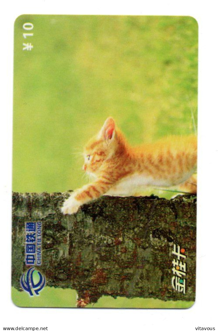 Chat Cat Télécarte Chine China Phonecard (K 15)) - Chine