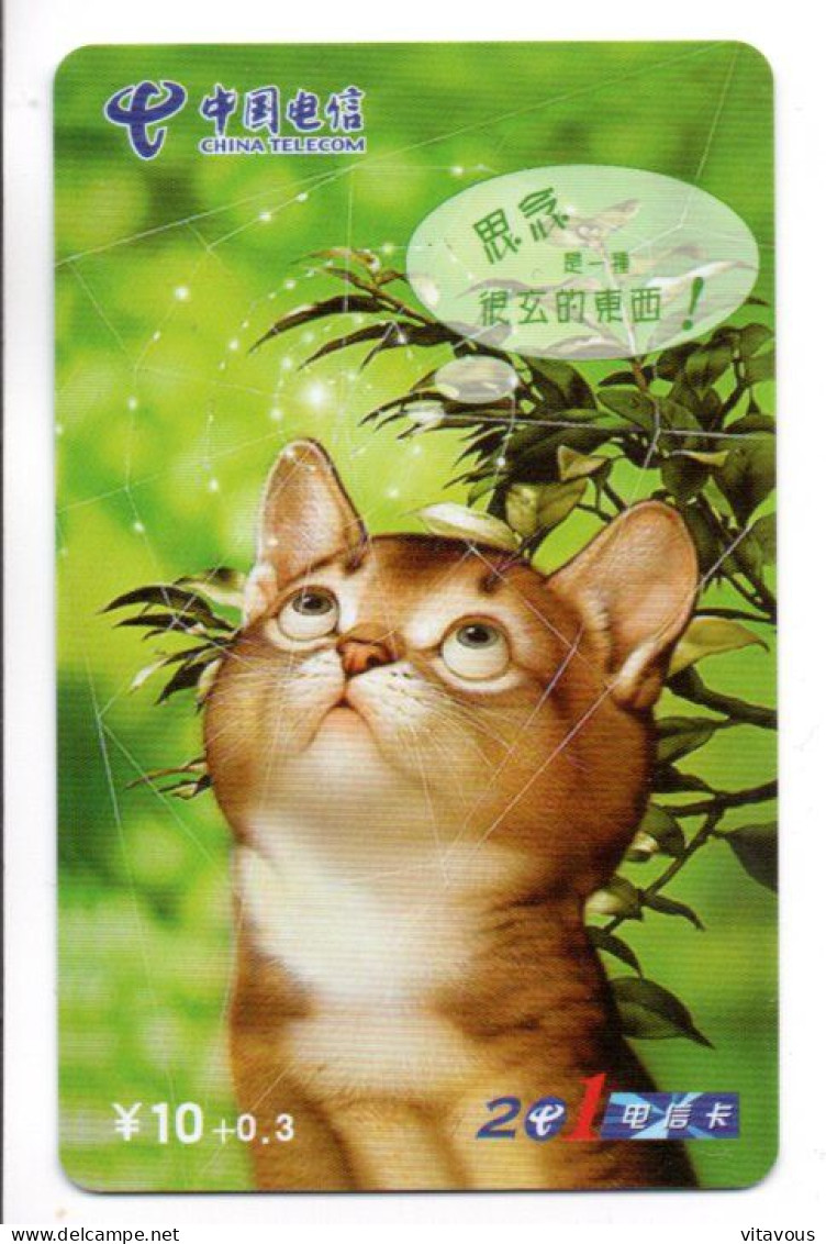 Chat Cat Télécarte Chine China Phonecard (K 17) - China