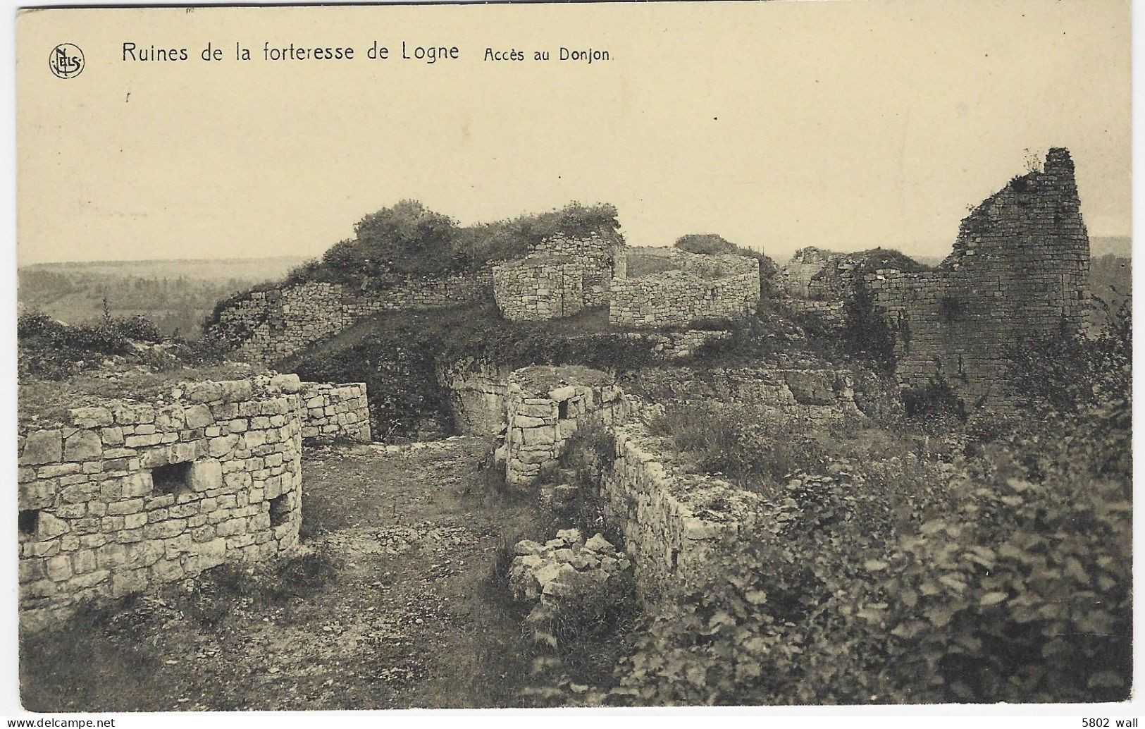 FERRIERES-LOGNE : Ruines De La Forteresse - Accès Au Donjon - Ferrières