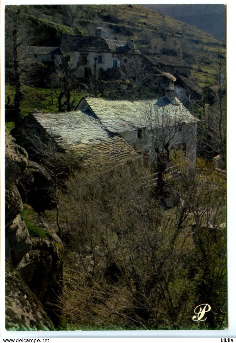 CPSM / CPM 10.5 X 15 Prestige CEVENNES Et Quand Vient L'automne, S'allument Les Cheminée Village     Photo D. Faure - Languedoc-Roussillon