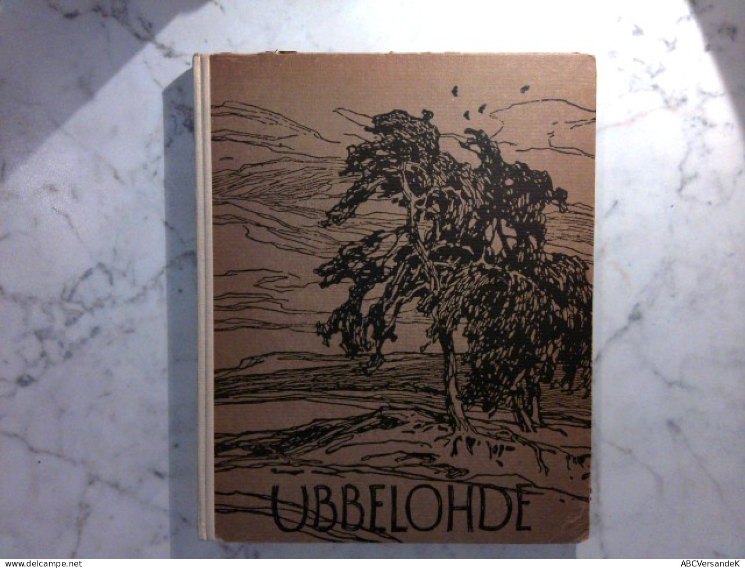 Otto Ubbelohde - Leben Und Werk - Biographien & Memoiren