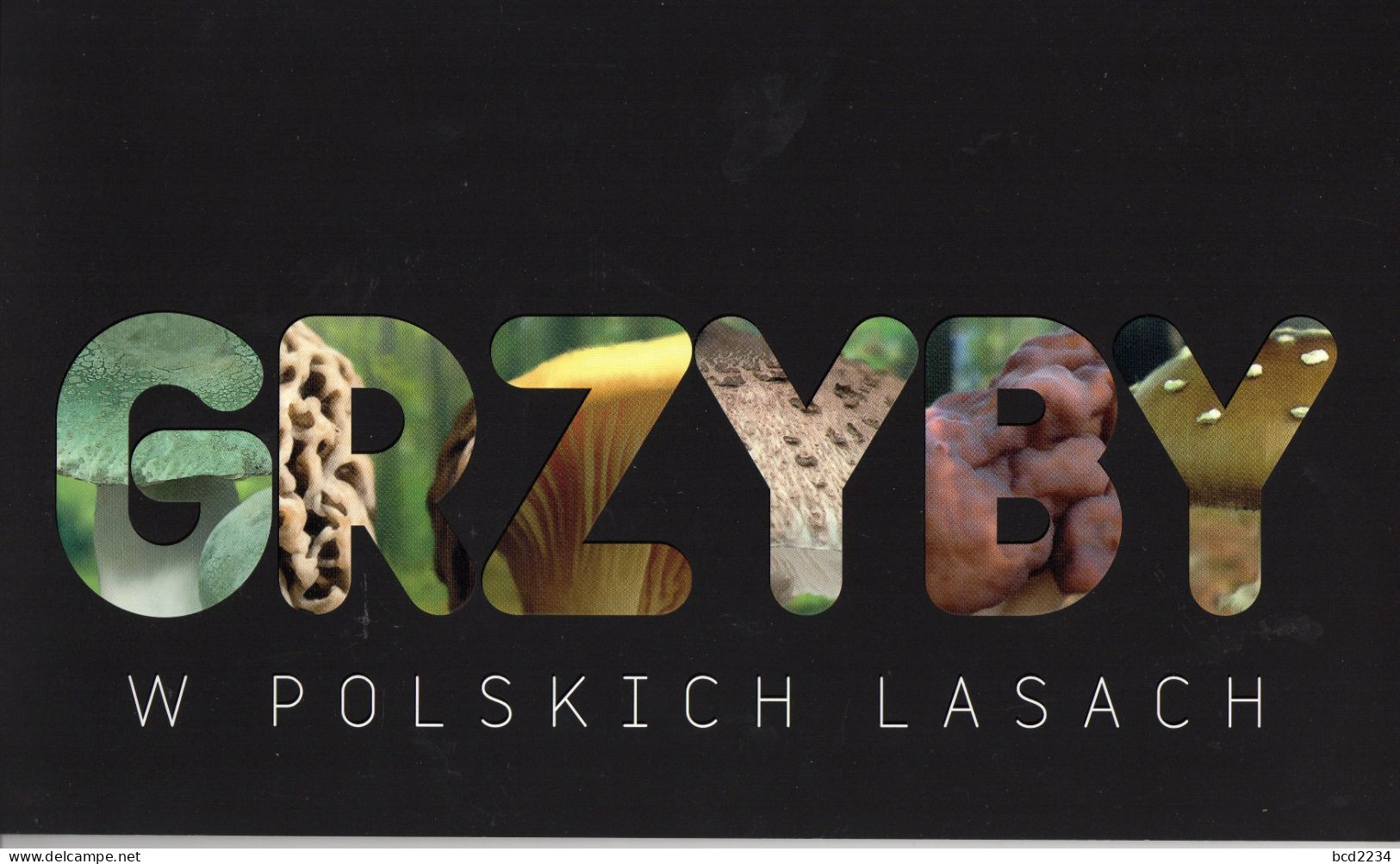 POLAND 2012 POLISH POST OFFICE LIMITED EDITION SPECTACULAR FOLDER: MUSHROOMS IN POLISH FORESTS FDC FUNGI - Paddestoelen