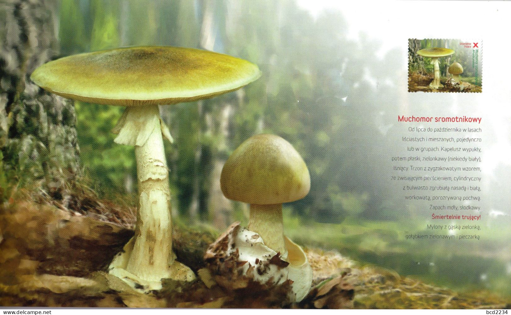 POLAND 2012 POLISH POST OFFICE LIMITED EDITION SPECTACULAR FOLDER: MUSHROOMS IN POLISH FORESTS FDC FUNGI