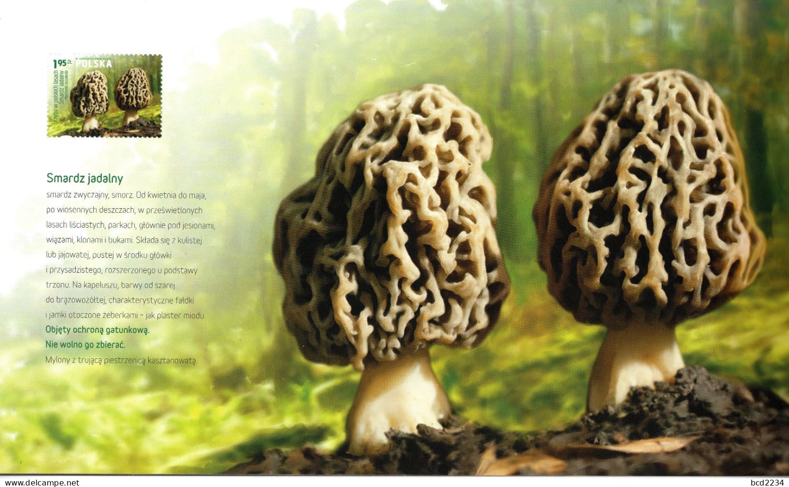 POLAND 2012 POLISH POST OFFICE LIMITED EDITION SPECTACULAR FOLDER: MUSHROOMS IN POLISH FORESTS FDC FUNGI